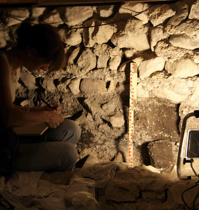 Excrements of herbivores